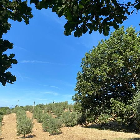 La Casina Della Quercia, Your Tuscan Oak Tree House Osteria Delle Noci Экстерьер фото