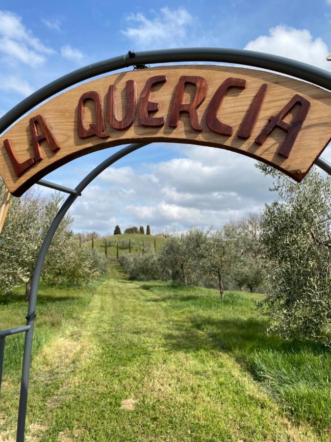 La Casina Della Quercia, Your Tuscan Oak Tree House Osteria Delle Noci Экстерьер фото
